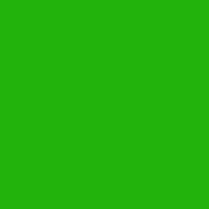 Rosco-Chroma-Key-Green-05711